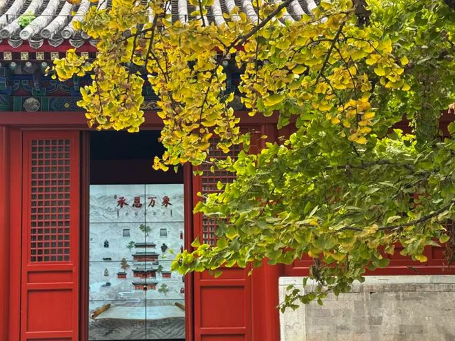 创上新石景山这个古寺将迎最美时节！pg电子免费模拟器游戏花式赏秋、文(图2)